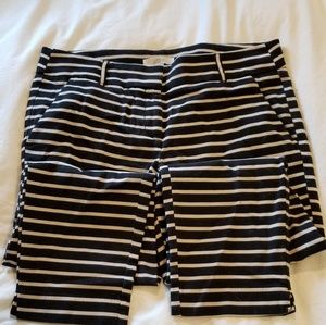 Loft soft canvas pant Marissa style